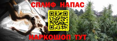 ALPHA PVP Ачхой-Мартан